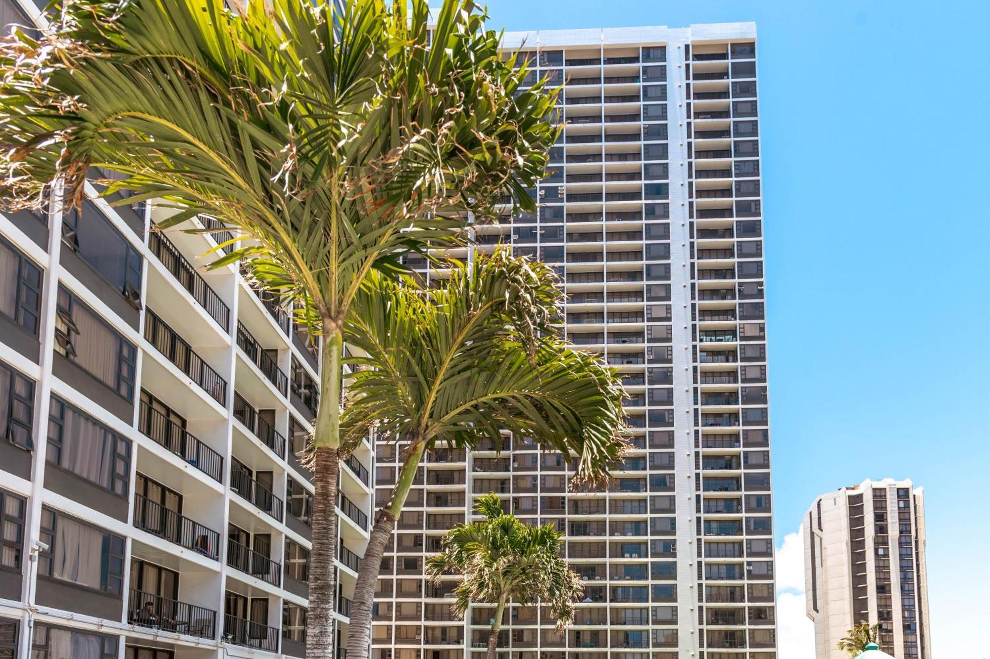 Beautiful 1Br With King Bed, Ocean View, Fast Wi-Fi & Free Parking Leilighet Honolulu Eksteriør bilde